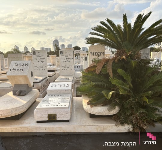 מצבות בבית קברות עם שמות בעברית וצמחייה מסביב